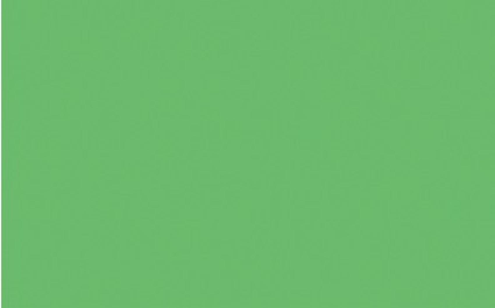 Hedvbn papr 19g st. zelen 50x70