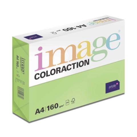 Papír barevný Color A4/160gr Java středně zelený MA42
